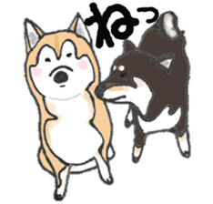 Midget Shiba MagRob and friends 7 sticker #11962696