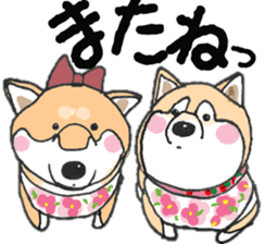 Midget Shiba MagRob and friends 7 sticker #11962697