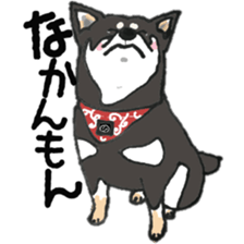 Midget Shiba MagRob and friends 7 sticker #11962698