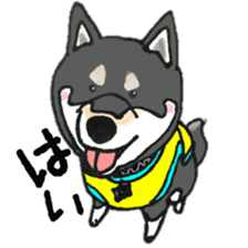 Midget Shiba MagRob and friends 7 sticker #11962701