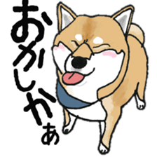Midget Shiba MagRob and friends 7 sticker #11962704