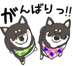 Midget Shiba MagRob and friends 7 sticker #11962705