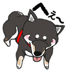 Midget Shiba MagRob and friends 7 sticker #11962706