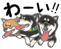 Midget Shiba MagRob and friends 7 sticker #11962709