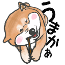 Midget Shiba MagRob and friends 7 sticker #11962710