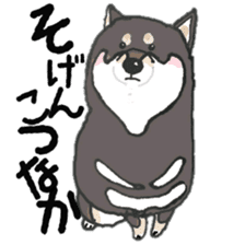 Midget Shiba MagRob and friends 7 sticker #11962715