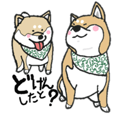 Midget Shiba MagRob and friends 7 sticker #11962716
