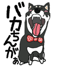 Midget Shiba MagRob and friends 7 sticker #11962718