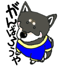 Midget Shiba MagRob and friends 7 sticker #11962723