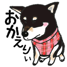 Midget Shiba MagRob and friends 7 sticker #11962724
