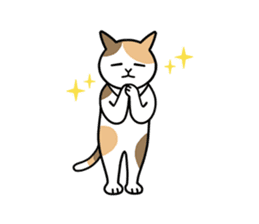 Talking Cats 2(English version) sticker #11969368