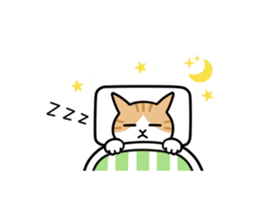 Talking Cats 2(English version) sticker #11969388