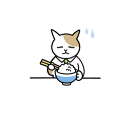 Talking Cats 2(English version) sticker #11969400
