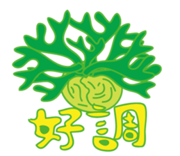 Platycerium sticker #11970535