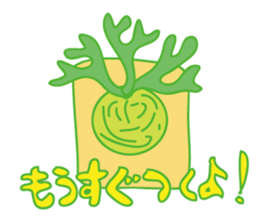 Platycerium sticker #11970537