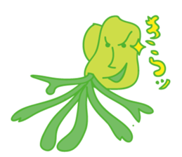 Platycerium sticker #11970539