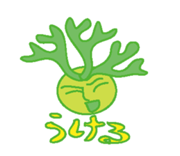 Platycerium sticker #11970547