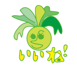 Platycerium sticker #11970552