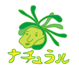 Platycerium sticker #11970562