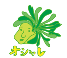 Platycerium sticker #11970563
