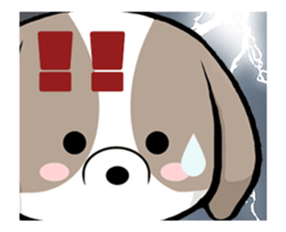 Shih Tzu dog to move. sticker #11971400