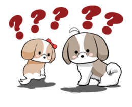 Shih Tzu dog to move. sticker #11971401