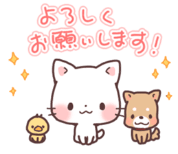 Cats,Dogs & Chick sticker #11974391
