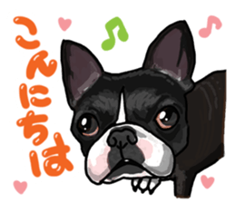 French bulldog family1 sticker #11974479