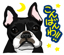 French bulldog family1 sticker #11974480