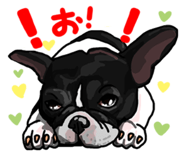 French bulldog family1 sticker #11974481