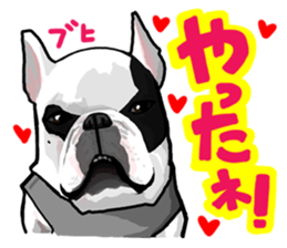 French bulldog family1 sticker #11974492