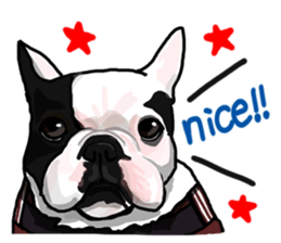 French bulldog family1 sticker #11974495
