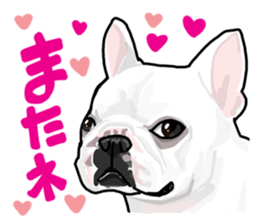 French bulldog family1 sticker #11974509