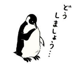 Animals of the Arctic & the Antarctic 6 sticker #11974778