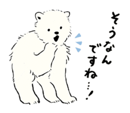 Animals of the Arctic & the Antarctic 6 sticker #11974786
