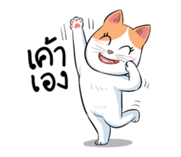 Som Jeed sticker #11975551