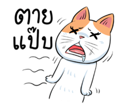 Som Jeed sticker #11975560