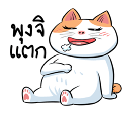 Som Jeed sticker #11975568