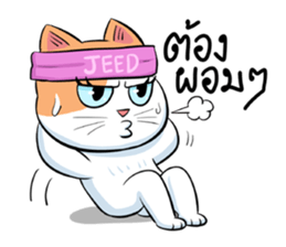 Som Jeed sticker #11975570