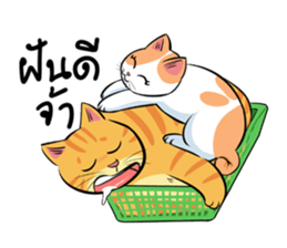 Som Jeed sticker #11975587