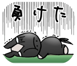 Thoroughbred sticker #11975663