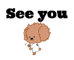 Toy Poodle coco sticker #11981017