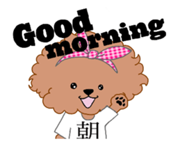 Toy Poodle coco sticker #11981018