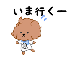 Toy Poodle coco sticker #11981027