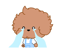Toy Poodle coco sticker #11981032