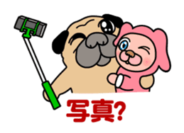 10xFUN Pug Dog Toyboy Duke - Summer Days sticker #11981126