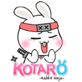 Kotaro Rabbit Ninja