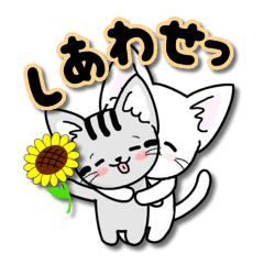 Every day of the happy cat