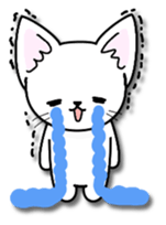 Every day of the happy cat sticker #11984144