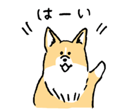 corgi chan sticker #11986876